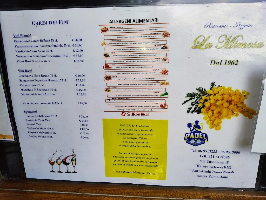 Menu_La Mimosa Ristorante Padel Pizzeria_Artena_image_1