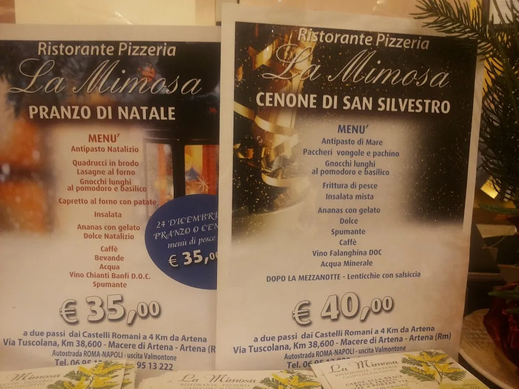 Menu_La Mimosa Ristorante Padel Pizzeria_Artena_image_4