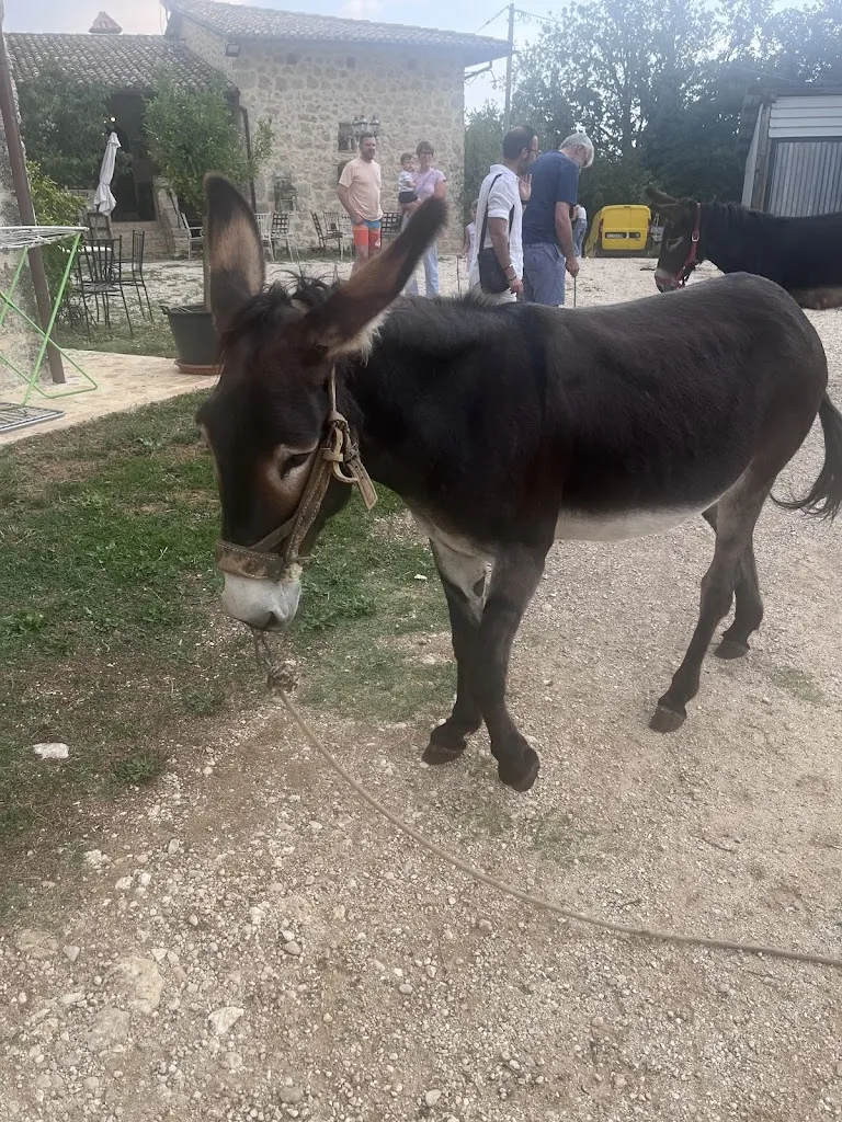 Cristina Lucarelli_Agriturismo Le Faeta_Arpino_review