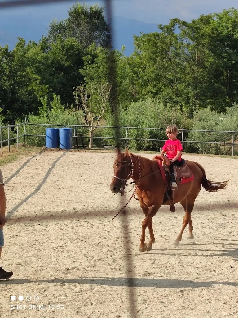 Angela Capobianco_Associazione Friends of Horses_Arpino_review