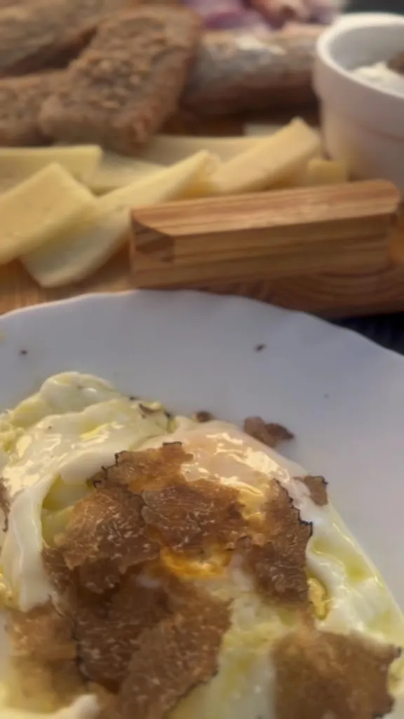 Tartuvino_Arpino_slider_image_2