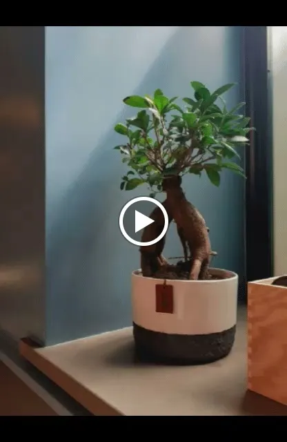 Nuh Osteria Contemporanea_Bagni di Tivoli_slider_image_2