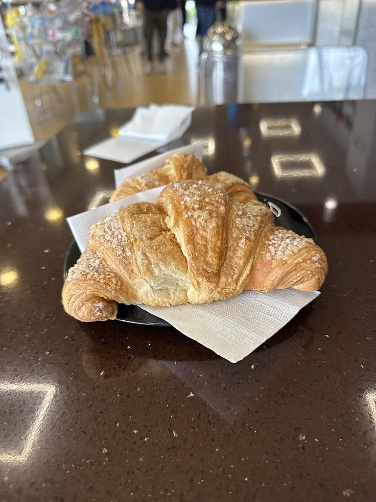 Catherine Shawarby_Bigrill_Bassano in Teverina_review