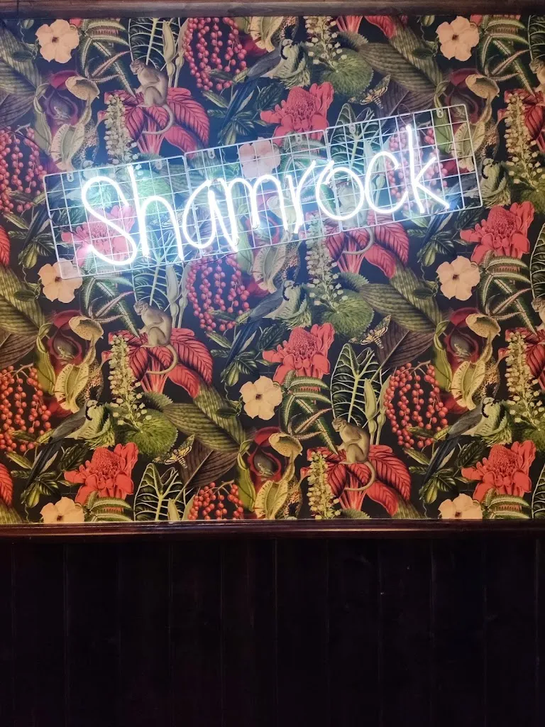 Shamrock Irish Pub_Tocco da Casauria_slider_image_2