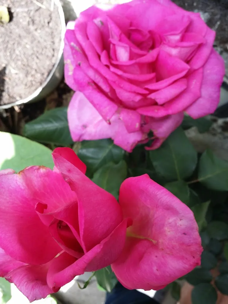 Bar T R I S_Bagnoregio_slider_image_3