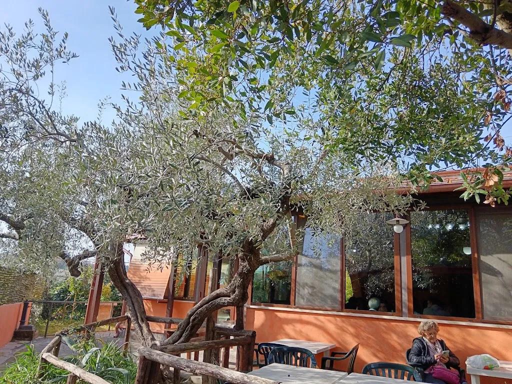 Valerio_Ristorante Casale_Bivio di Capanelle_review