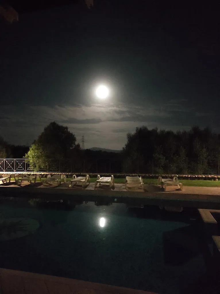 Barbara Z._Agriturismo Poggio al Sasso_Blera_review