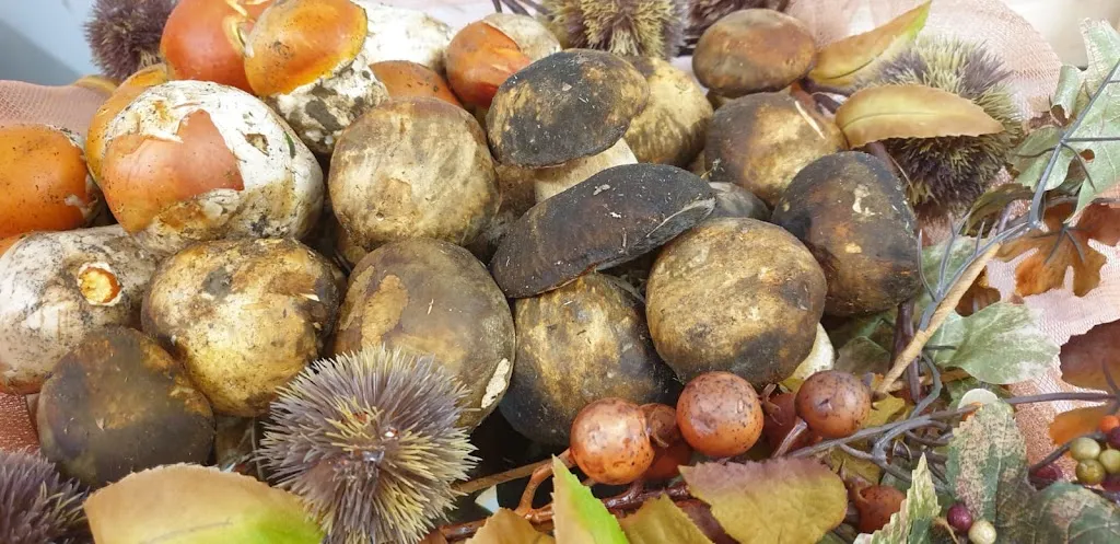 Ristorante Dal Sor Francesco Locanda B&B_Blera_slider_image_3