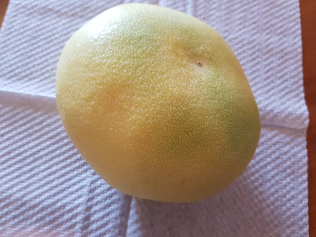 Menu_Ristorante Pizzeria Le Maschere_Tollo_immagine_6