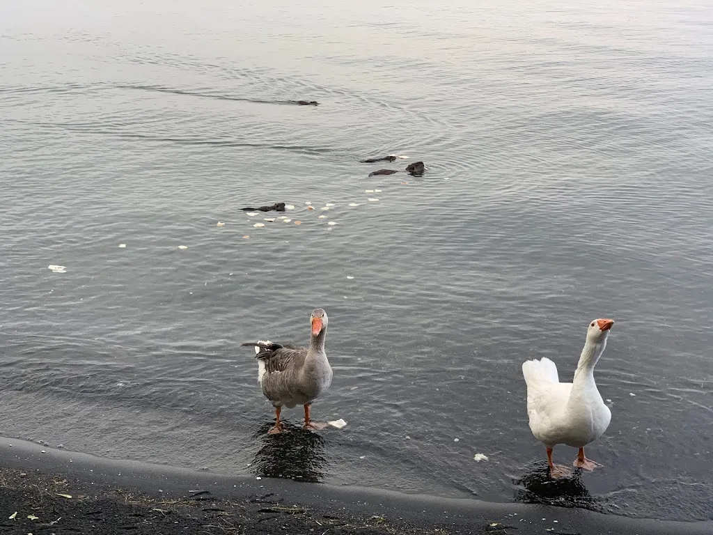 Sandro Götze_L'Oasi del Pescatore_Bolsena_review
