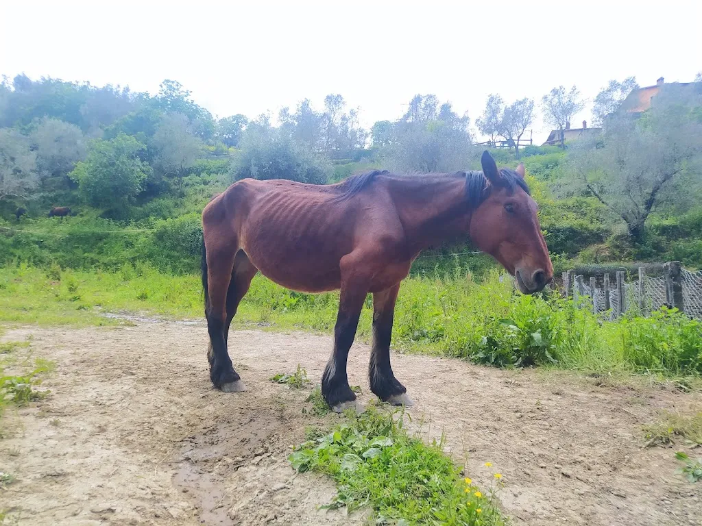 oh no_Agriturismo Antichi Sapori_Borgo Velino_recensione