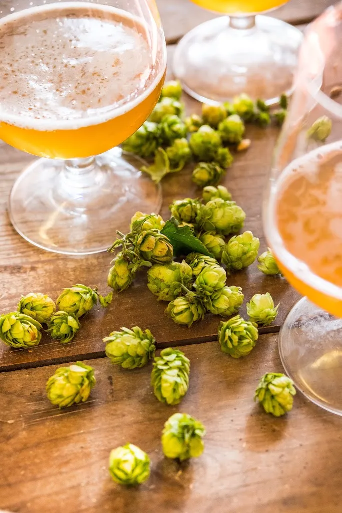 Collerosso Brewery_Borgorose_slider_image_2