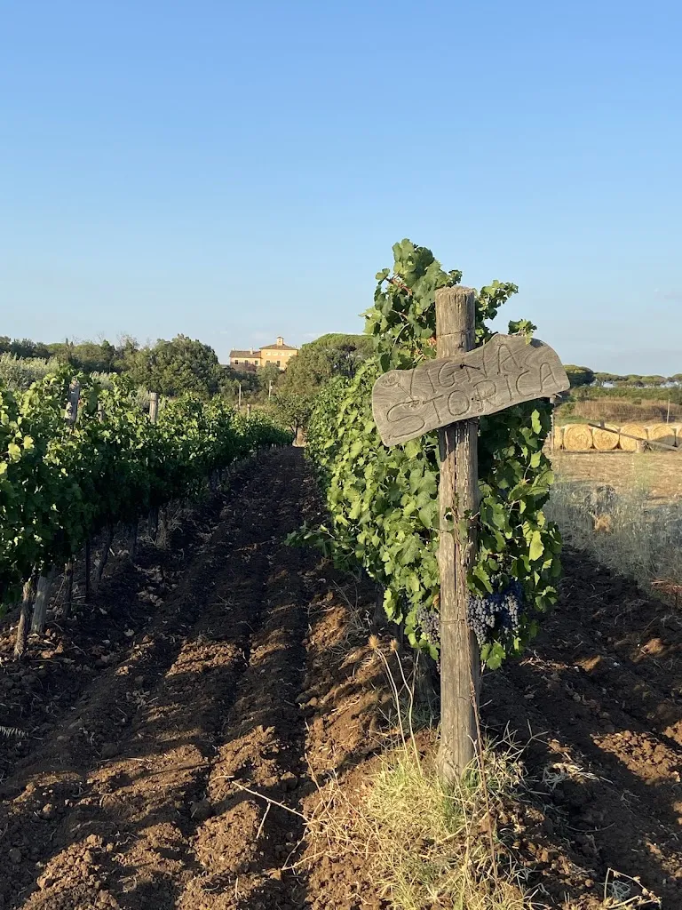 Madeleine Hayes_L'Orto di Alberico  - Degustazione Vini, Ristorante Biologico e Picnic Roma_Borgo Lotti_review