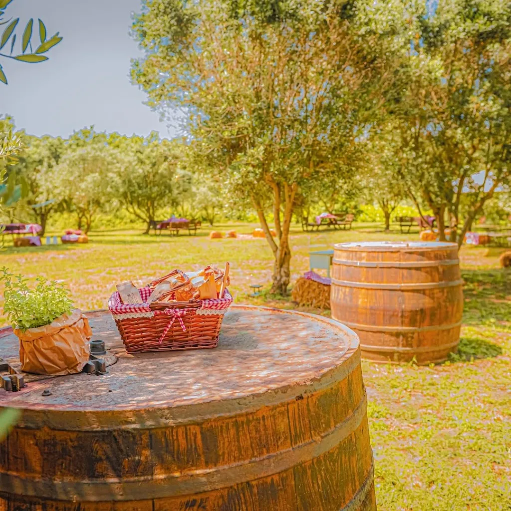 Mariangela Annicchiarico_Casale 4.5_Borgo Lotti_review