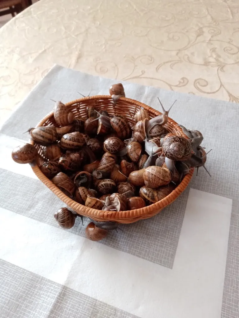 Menu_Agri Cordas e Cannas PISCINA ed Equitazione; RISTORANTE cucina tipica SARDA; location EVENTI cerimonie DIVINO AMORE Roma SUD_Borgo Lotti_image_3