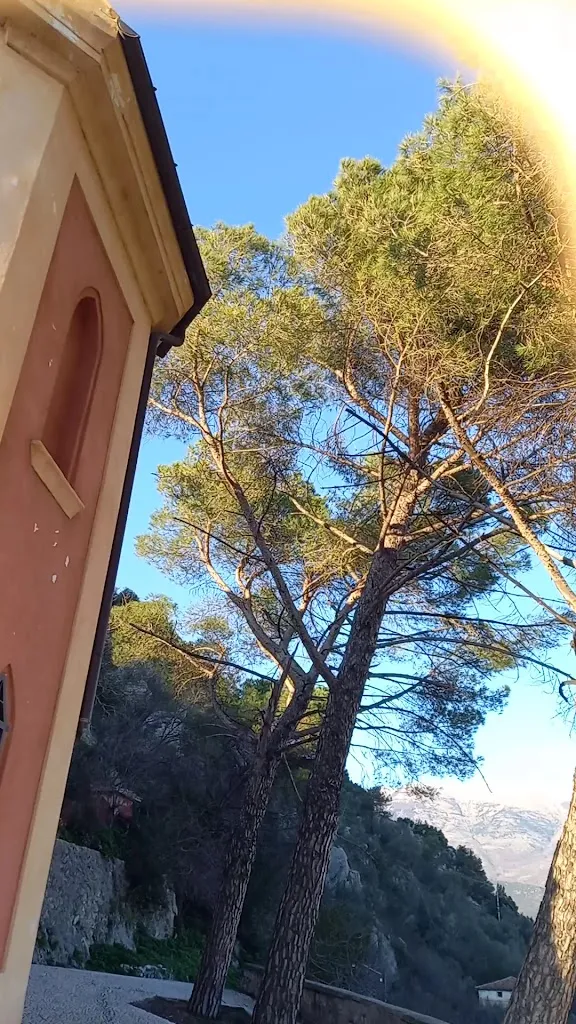 Dal Maresciallo_Broccostella_slider_image_2