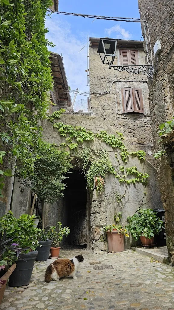 Memphis Parsley_I Tre Monti Da Adolfino_Calcata Nuova_review