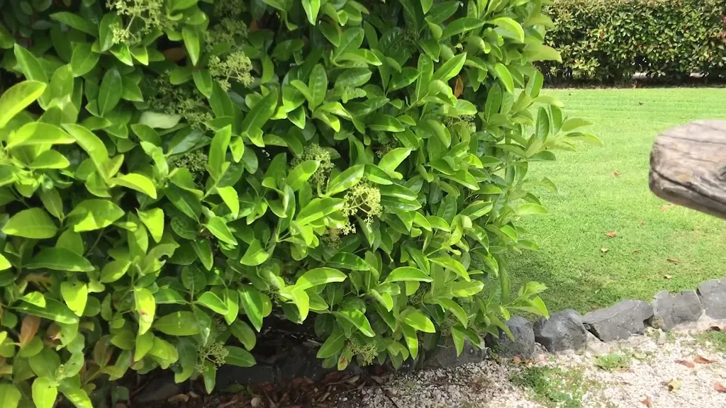 Casale di Martignano_Campagnano di Roma_slider_image_2