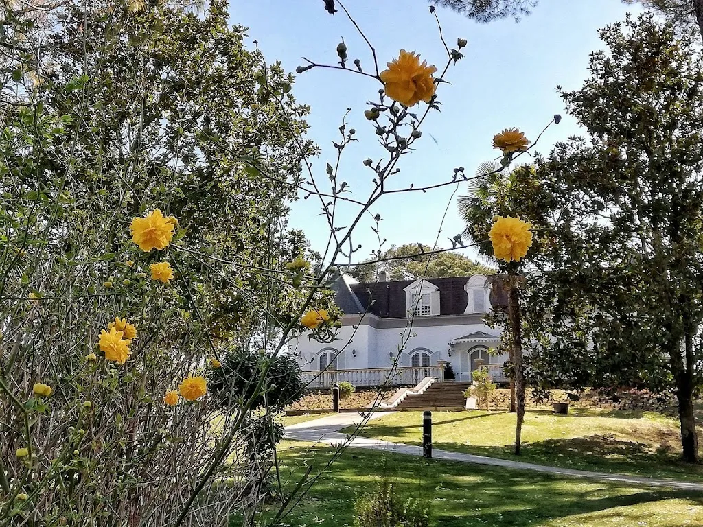 Villa York casa_Campagnano di Roma_slider_image_1