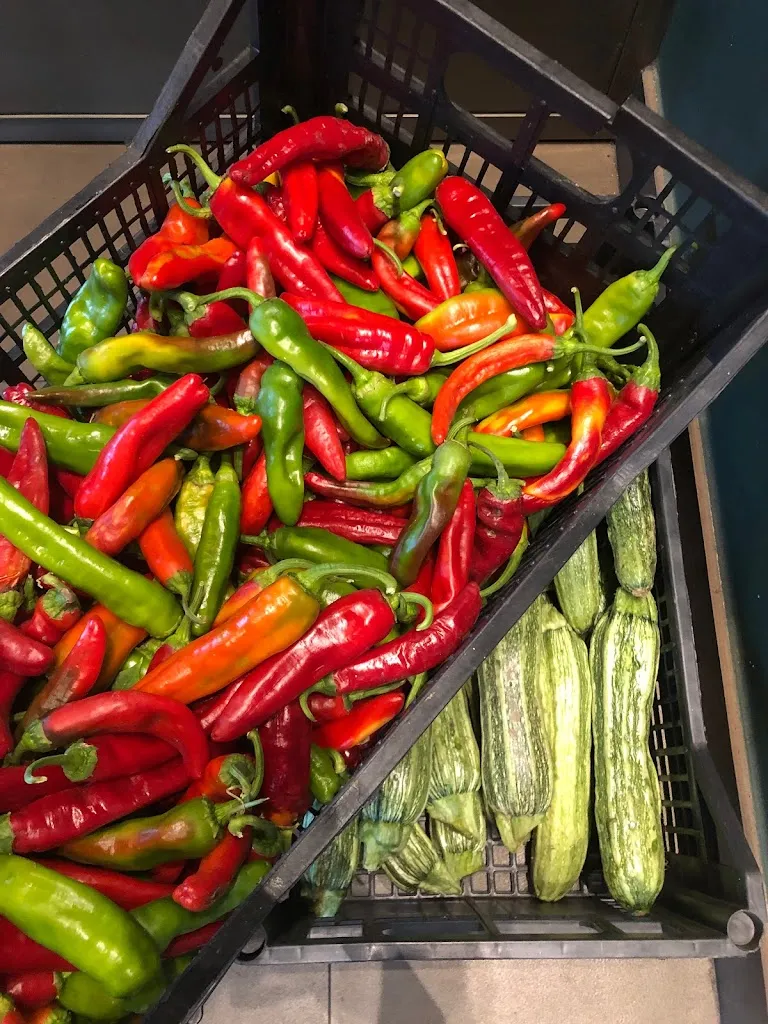 Agrilab_Campagnano di Roma_slider_image_3