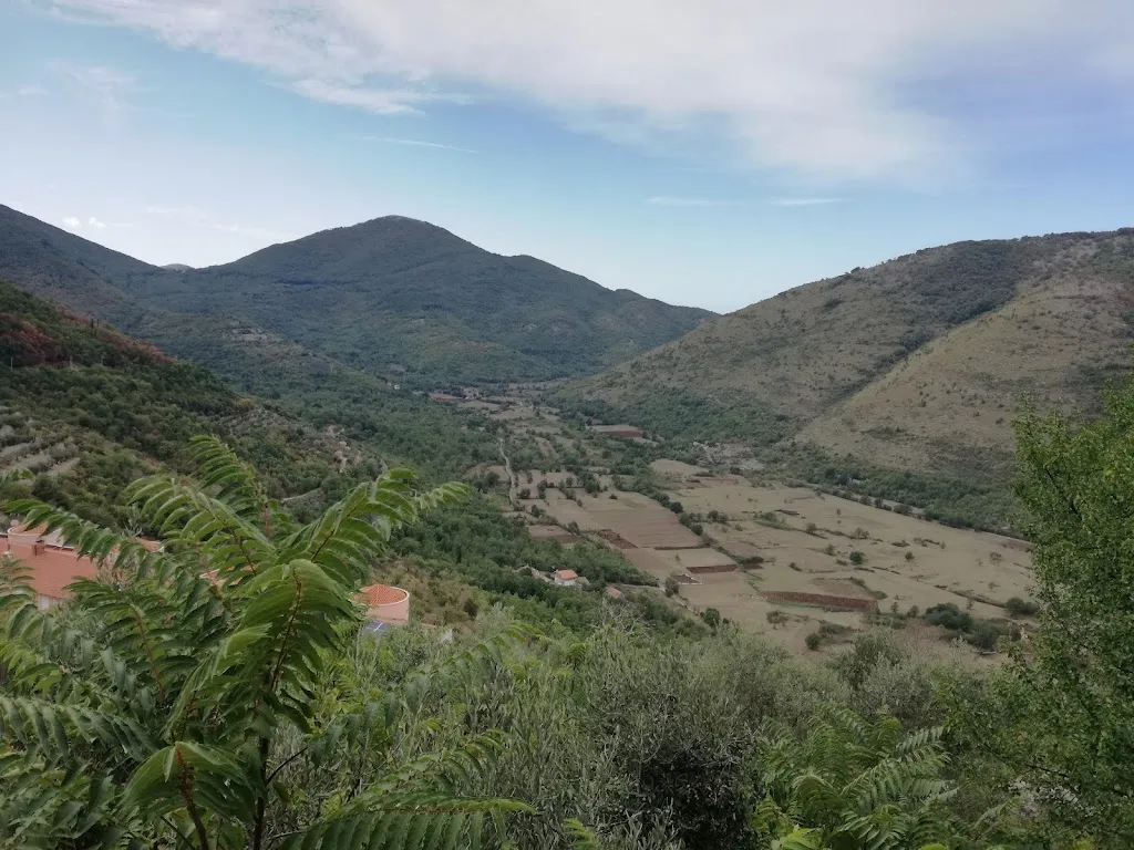 Ristorante Pizzeria Enoteca La Longevita_Campodimele_slider_image_1