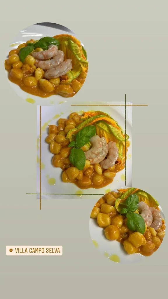 Menu_Campo Selva_Campo Jemini_immagine_3