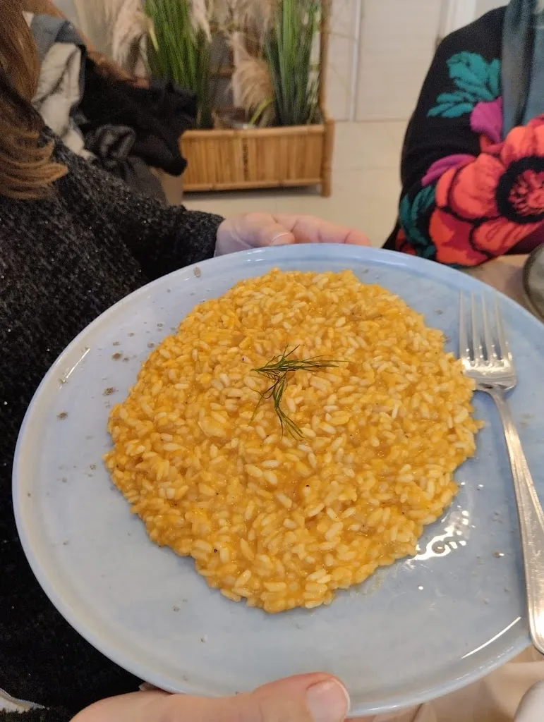 Angela Fede_Puesta del Sol_Campo Jemini_review