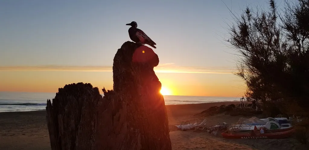 nicholas mead_La Spiaggetta Da Mario_Campo Jemini_review