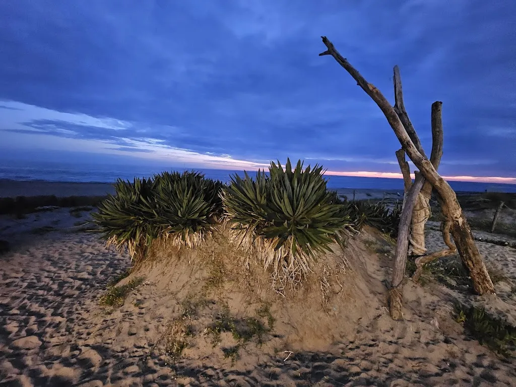 Watson Jim Craig_Ristorante La Villa di Venere_Campo Jemini_review