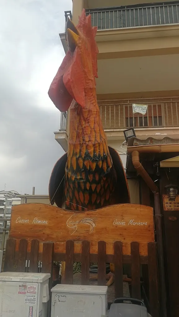 Bla Bla Bla_IL GALLO dal 1963_Campo Jemini_review