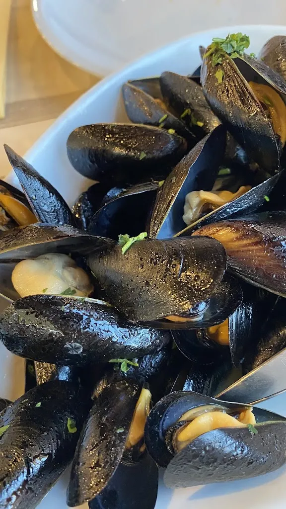 Daria Arian_IL GALLO dal 1963_Campo Jemini_review