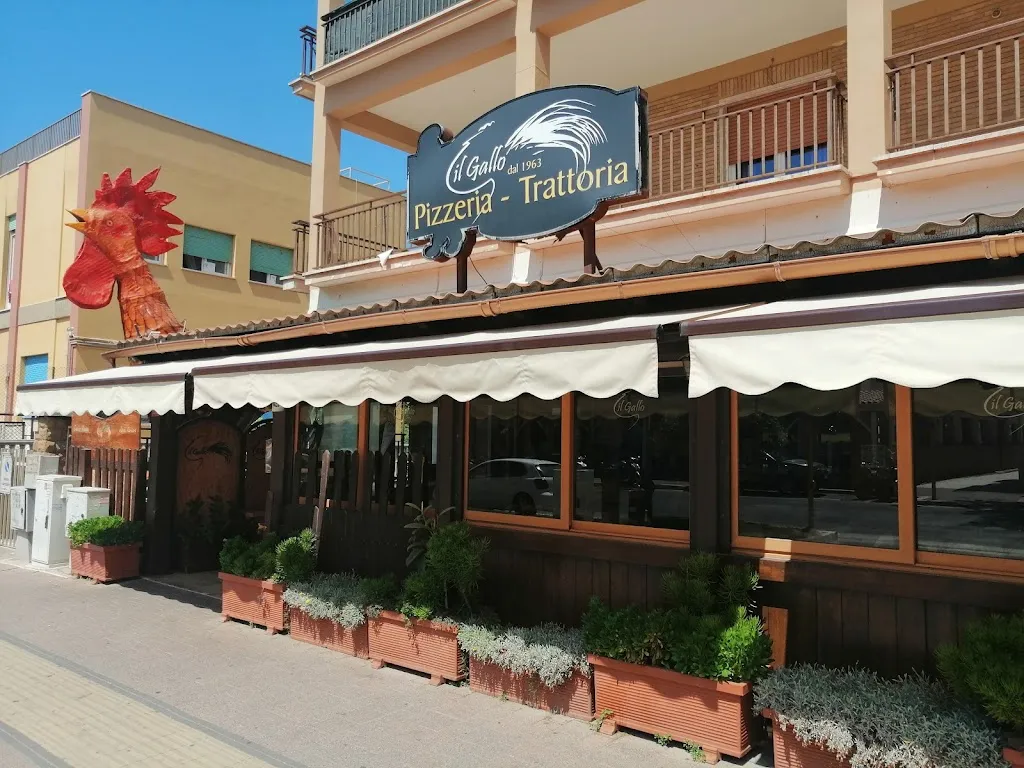 IL GALLO dal 1963 restaurant in Campo Jemini