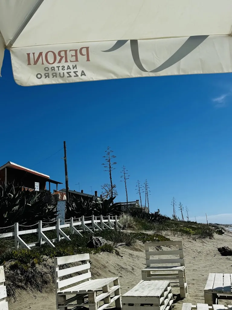 Ayushi Sharma_Tinga Beach & Risto_Campo Jemini_review