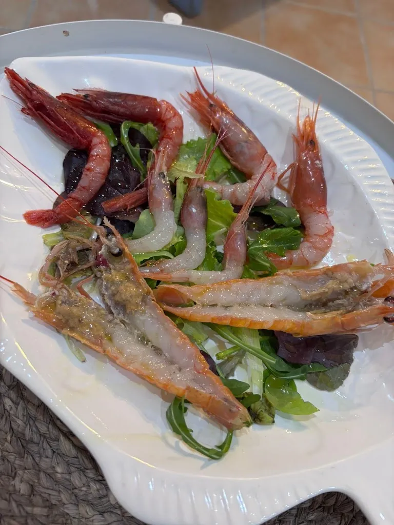 Menu_Polpo Allegro_Campo Jemini_immagine_3