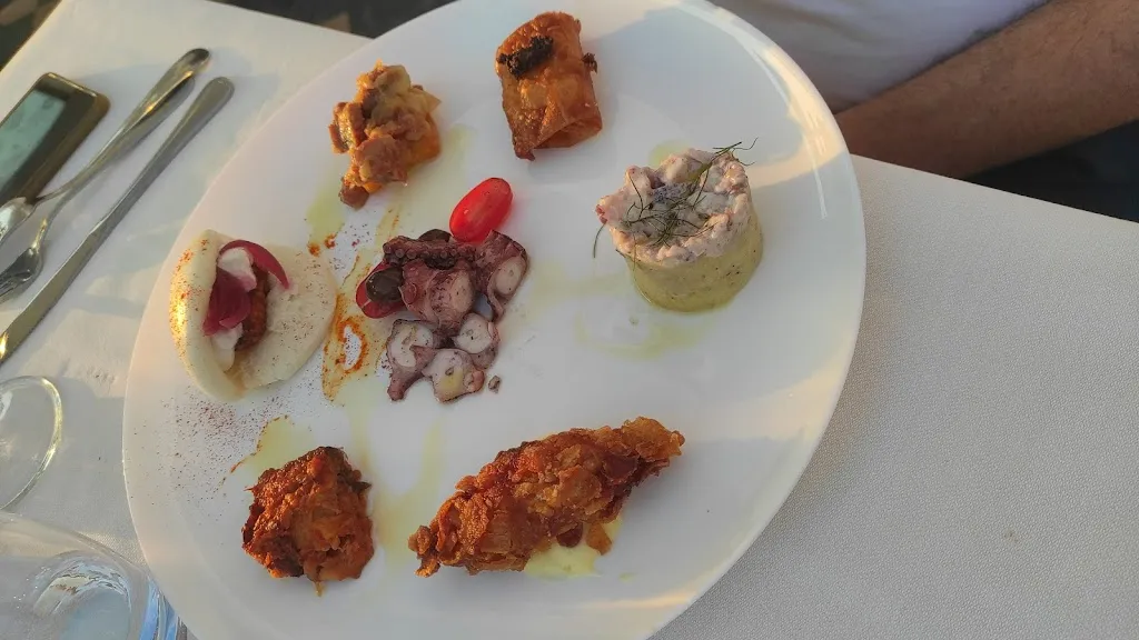 Stefania Graziani_Polpo Allegro_Campo Jemini_recensione