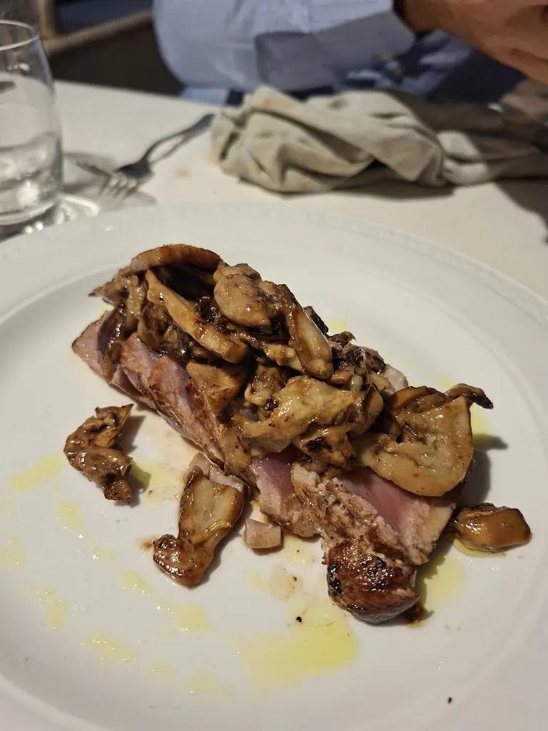 Bea Cennerazzo_Polpo Allegro_Campo Jemini_recensione