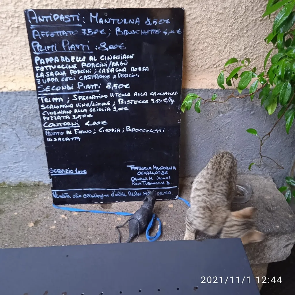 Menu_Ristorante Trattoria Manturna_Canale Monterano_image_2