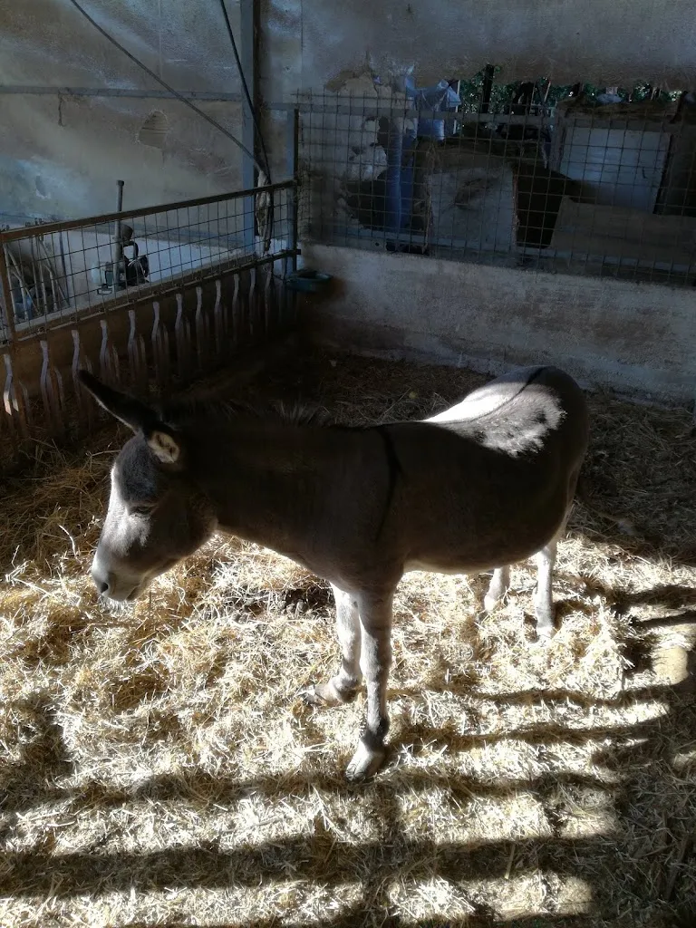 Agriturismo ristorante il Barone Cantalice _Cantalice_slider_image_2