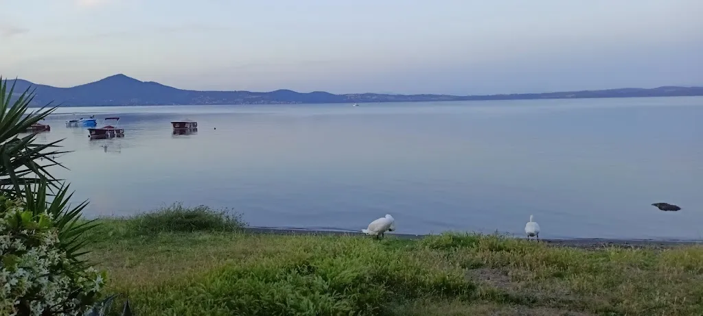 Albergo Ristorante Alfredo da Persichella_Bracciano_slider_image_3