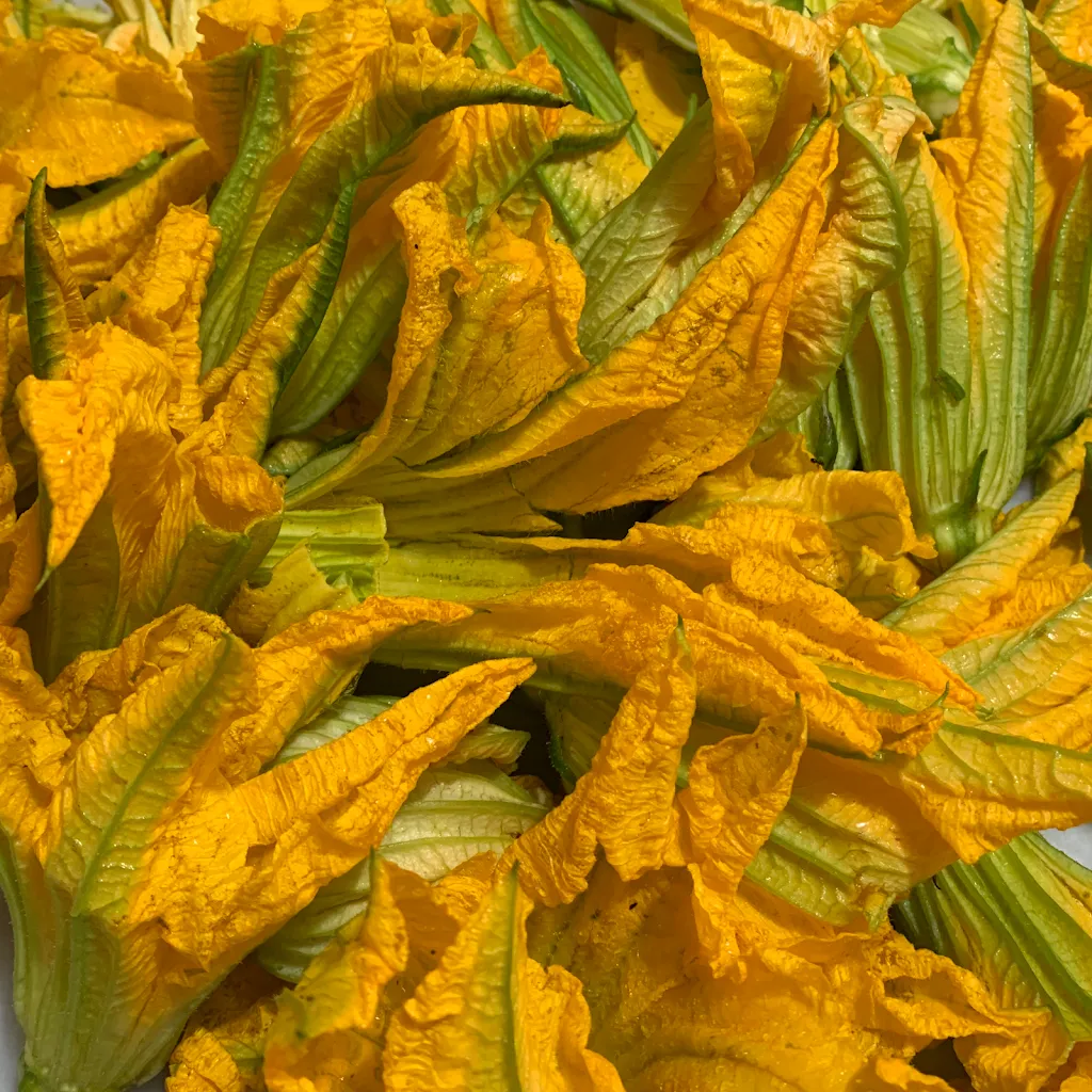 Menu_Trattoria Leone_Bracciano_immagine_6