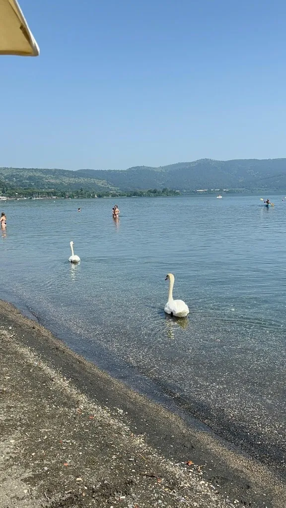 Luca_Movida Beach Bracciano_Bracciano_review