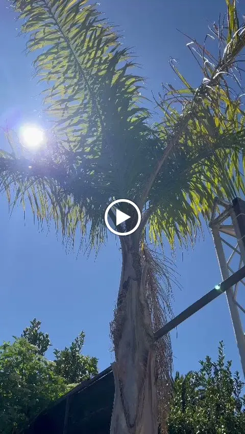 Movida Beach Bracciano_Bracciano_slider_image_2