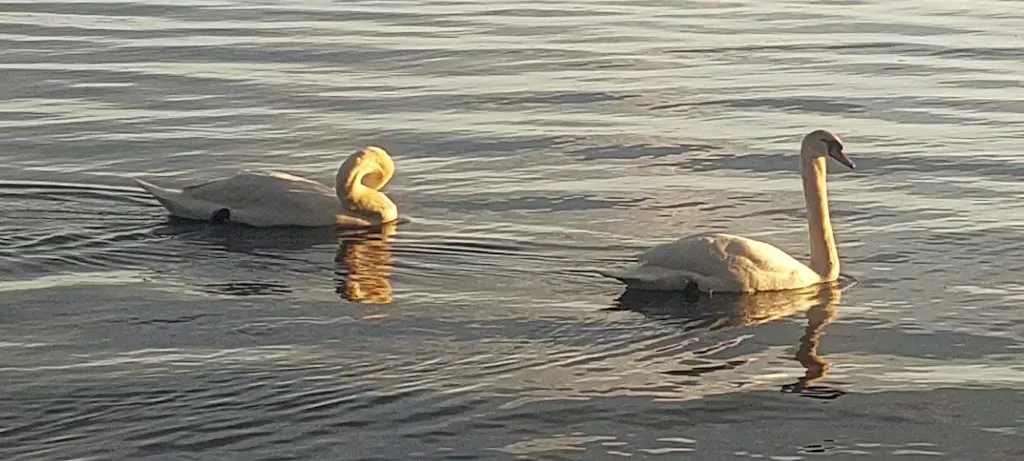 Bistrot 8e9_Bracciano_slider_image_2