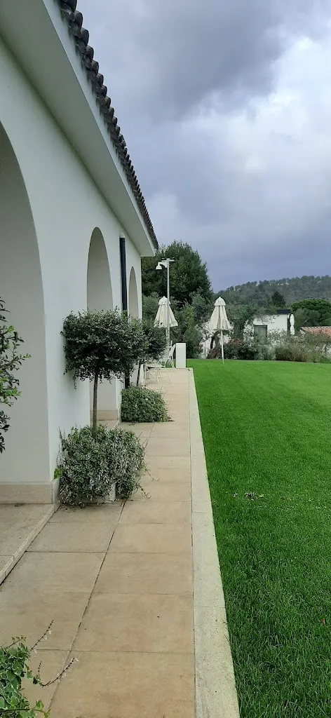 Lidia Cantú _Vigna Caio Restaurant_Bracciano_review