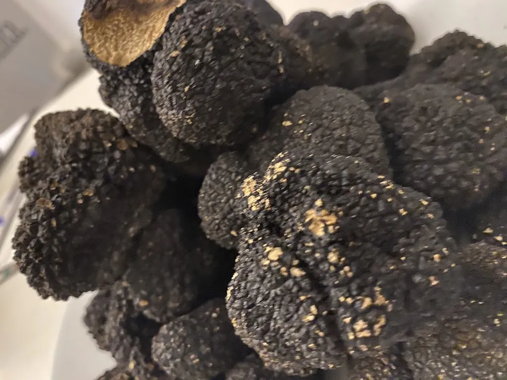 Menu_Il Calice e la Stella_Canepina_image_8