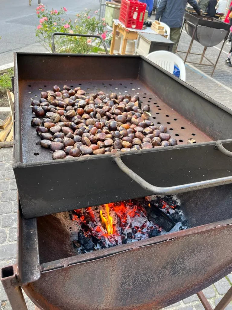 Menu_E Zzapori da Nonna Speranza Cantina tipica Canepinese_Canepina_image_3