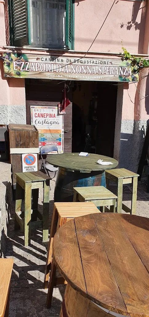 Domenico Carbone_E Zzapori da Nonna Speranza Cantina tipica Canepinese_Canepina_review