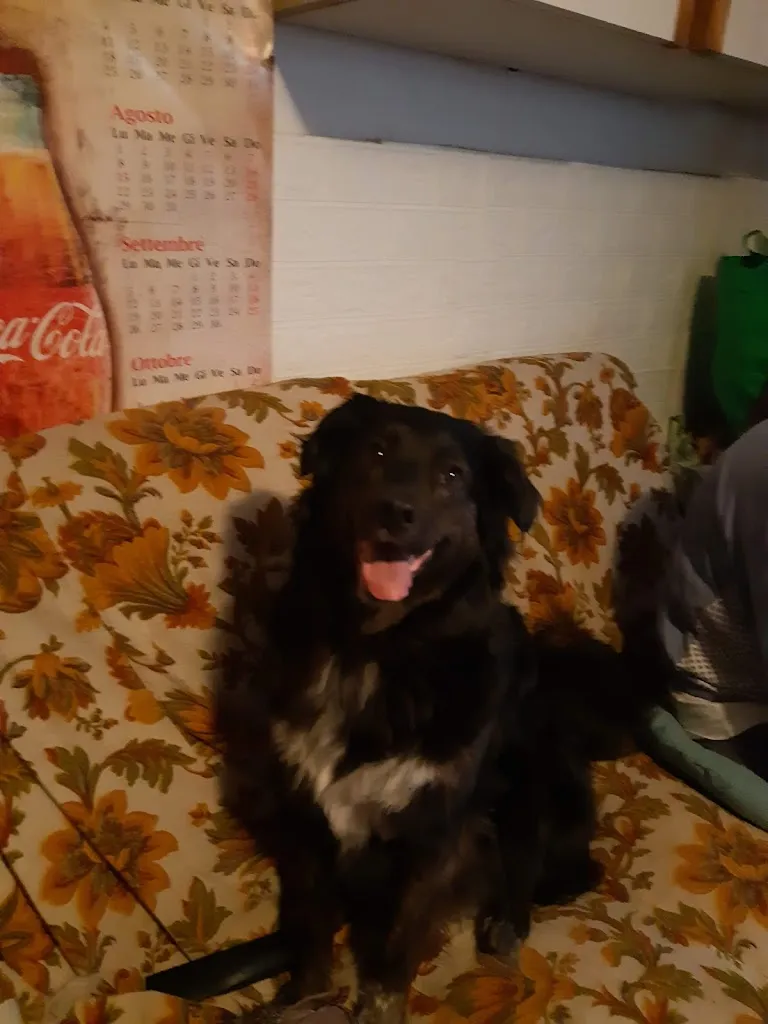 Mauro Cerroni_Bar Morsi e Sorsi_Caprarola_review