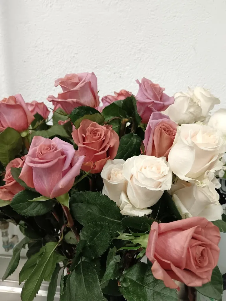 Daniele Maughelli_Agriturismo AL FONTANILE_Casalazzara_review