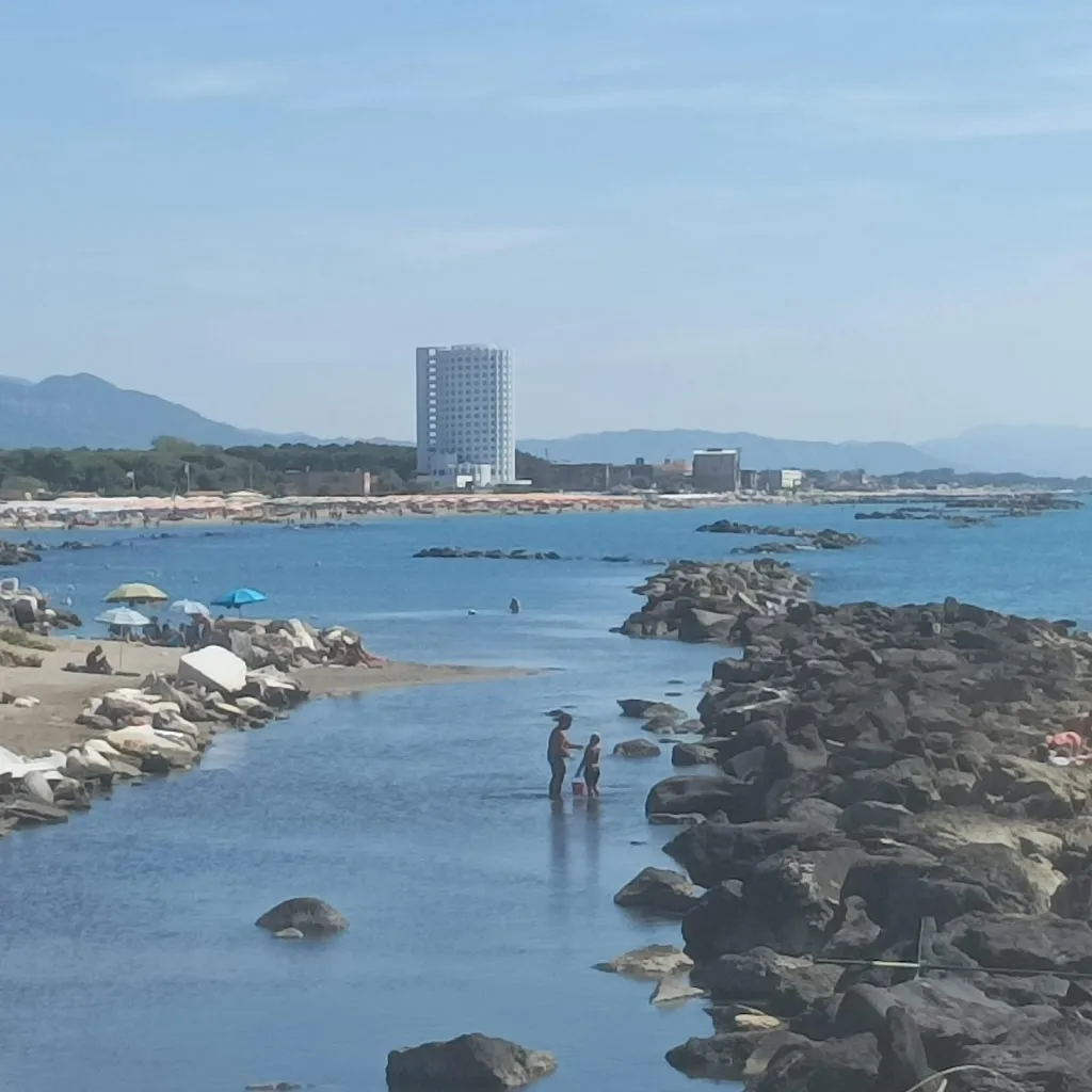 Lica 6301_Pescetarian_Carrara-Pontenuovo_Bewertung